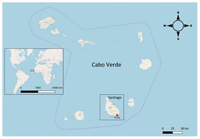 Study of the Etiology of Acute Respiratory Infections in Children Under 5 Years at the Dr. Agostinho Neto Hospital, Praia, Santiago Island, Cabo Verde